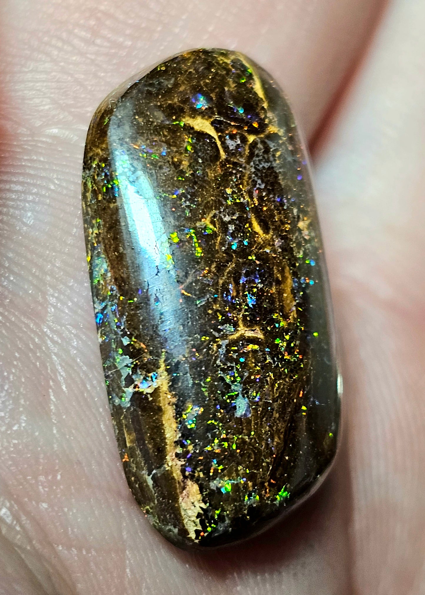 Colourful Pinfire Boulder Opal! 19cts (W2)