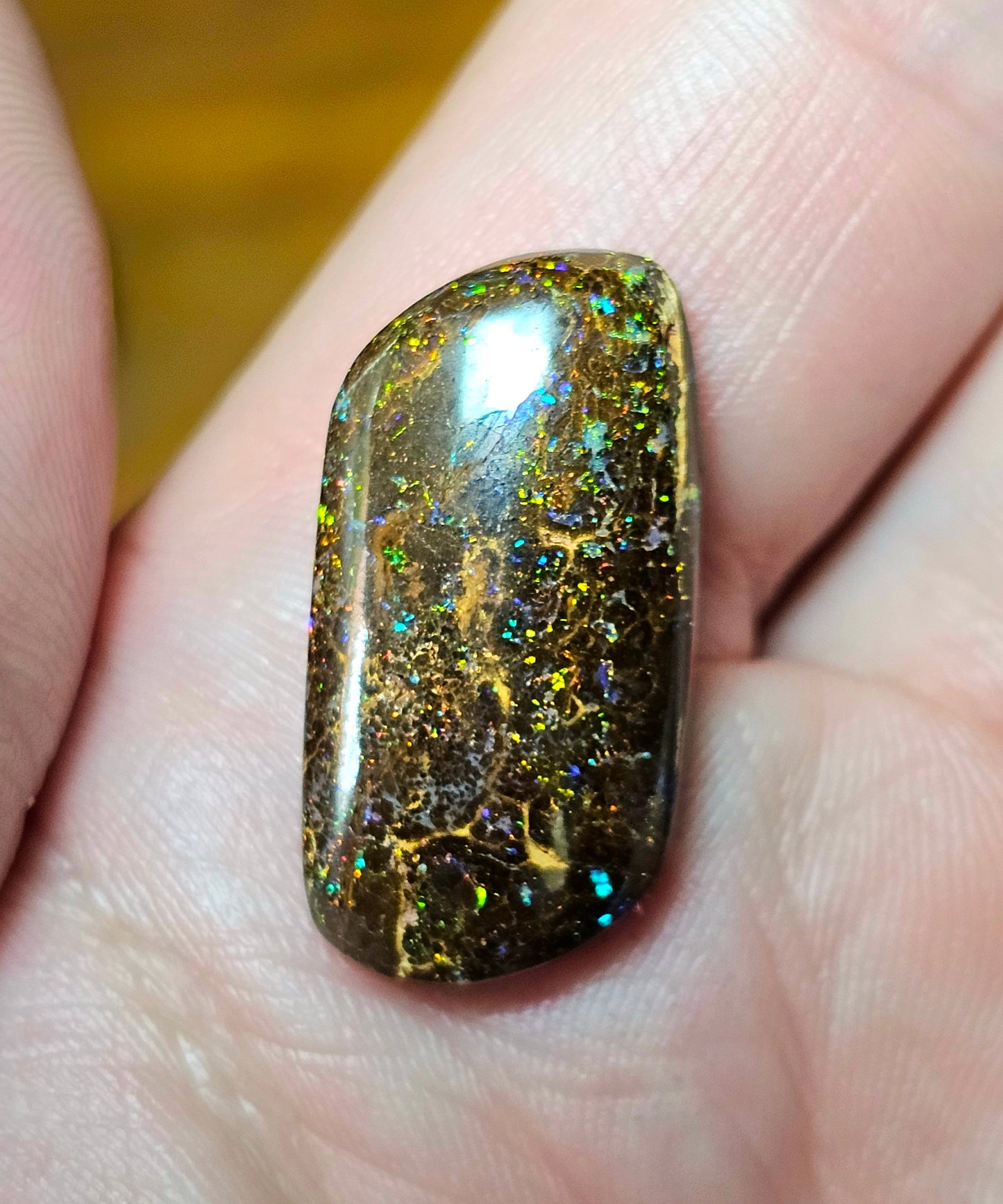 Colourful Pinfire Boulder Opal! 19cts (W2)