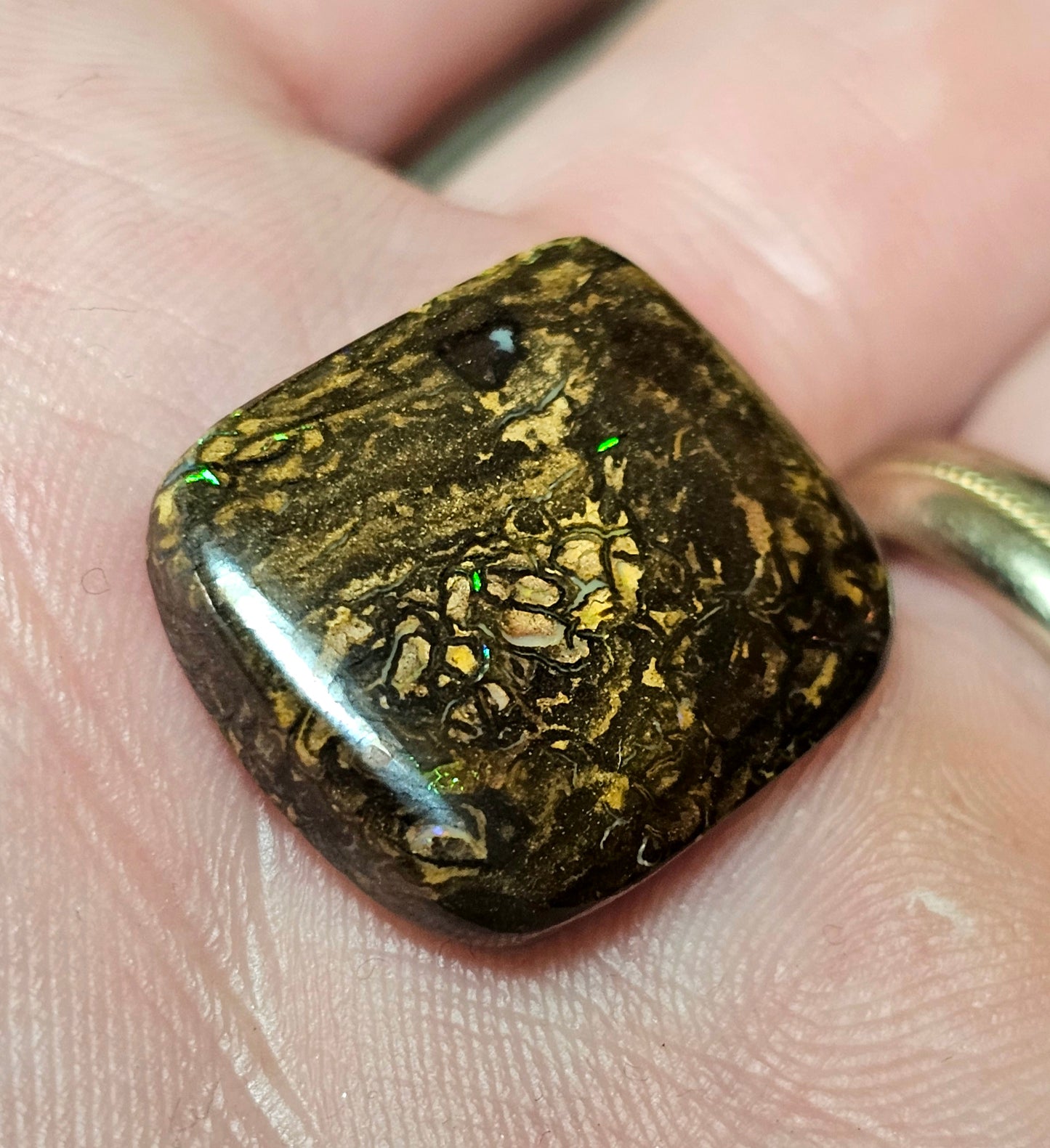 Double Sided Boulder Opal! (JSM35)