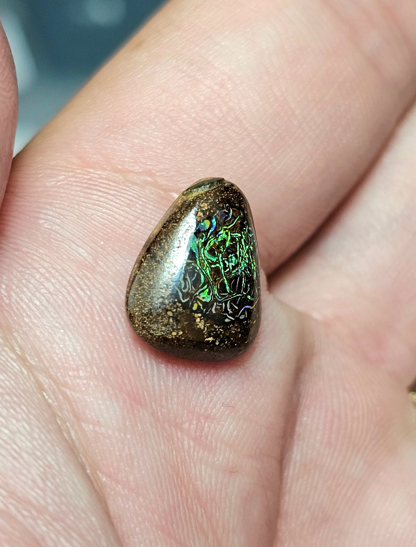 5.90cts Green Boulder Opal (WNB07)