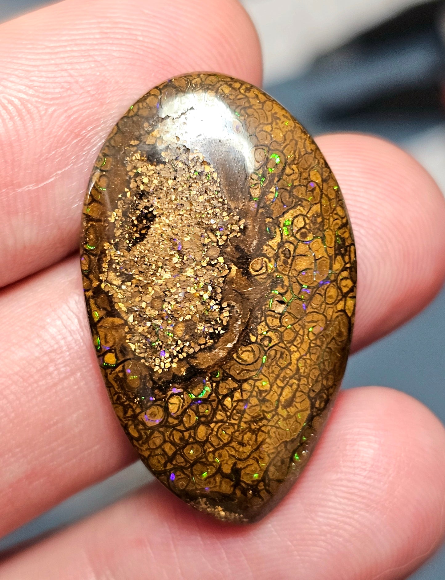 33cts Pinfire Boulder Opal (WNB06)