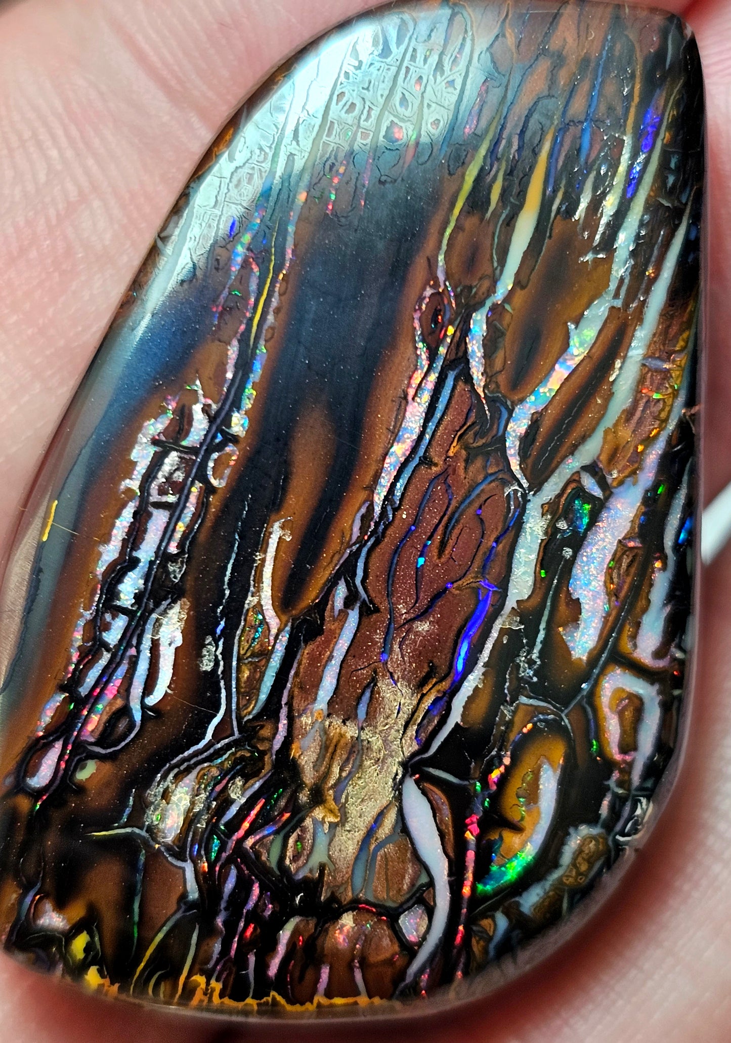 101cts Koroit Nut Boulder Opal with a Spectacular Pattern!!(JSMD10)