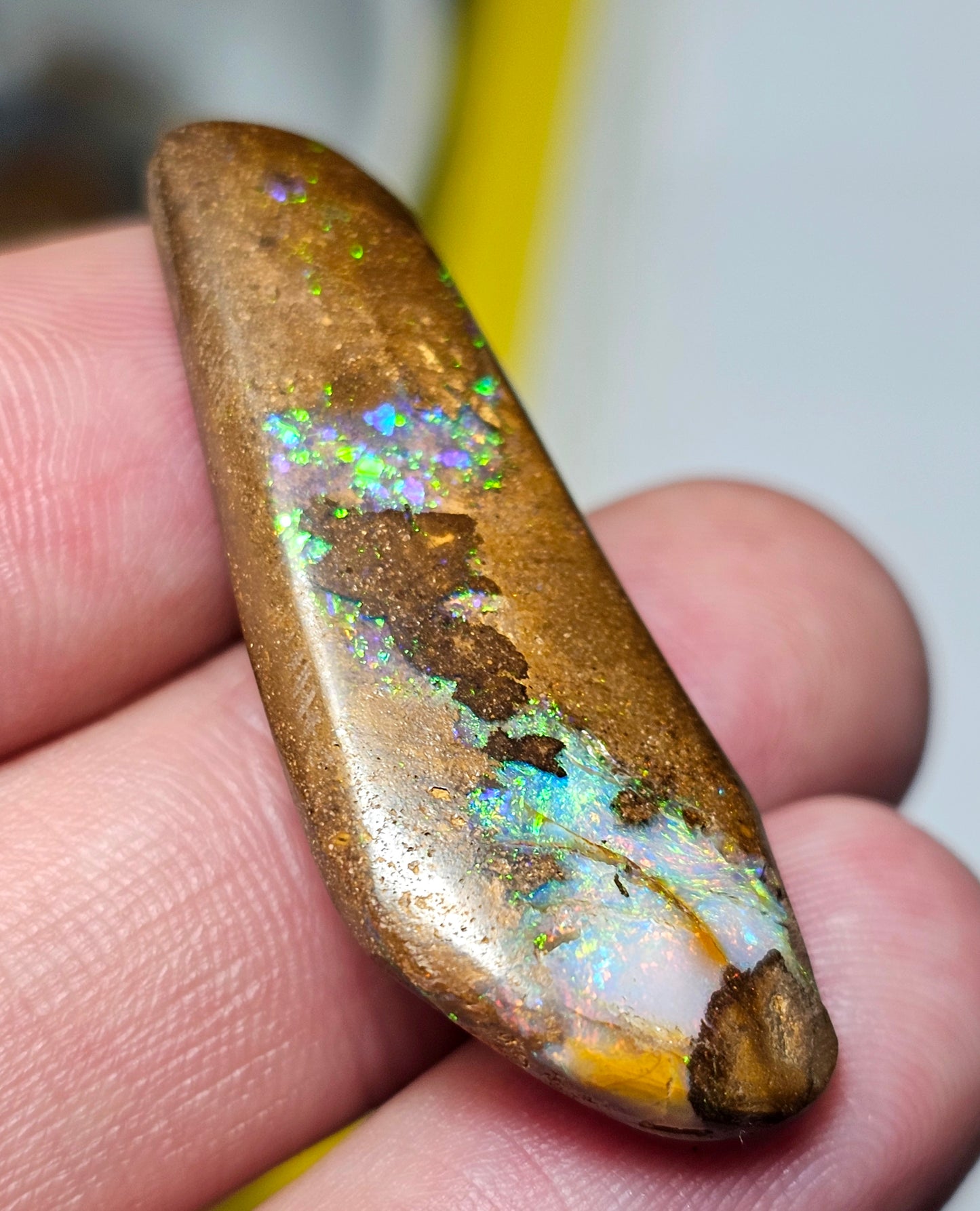 31cts BeautifulBoulderOpal (JSMD17)