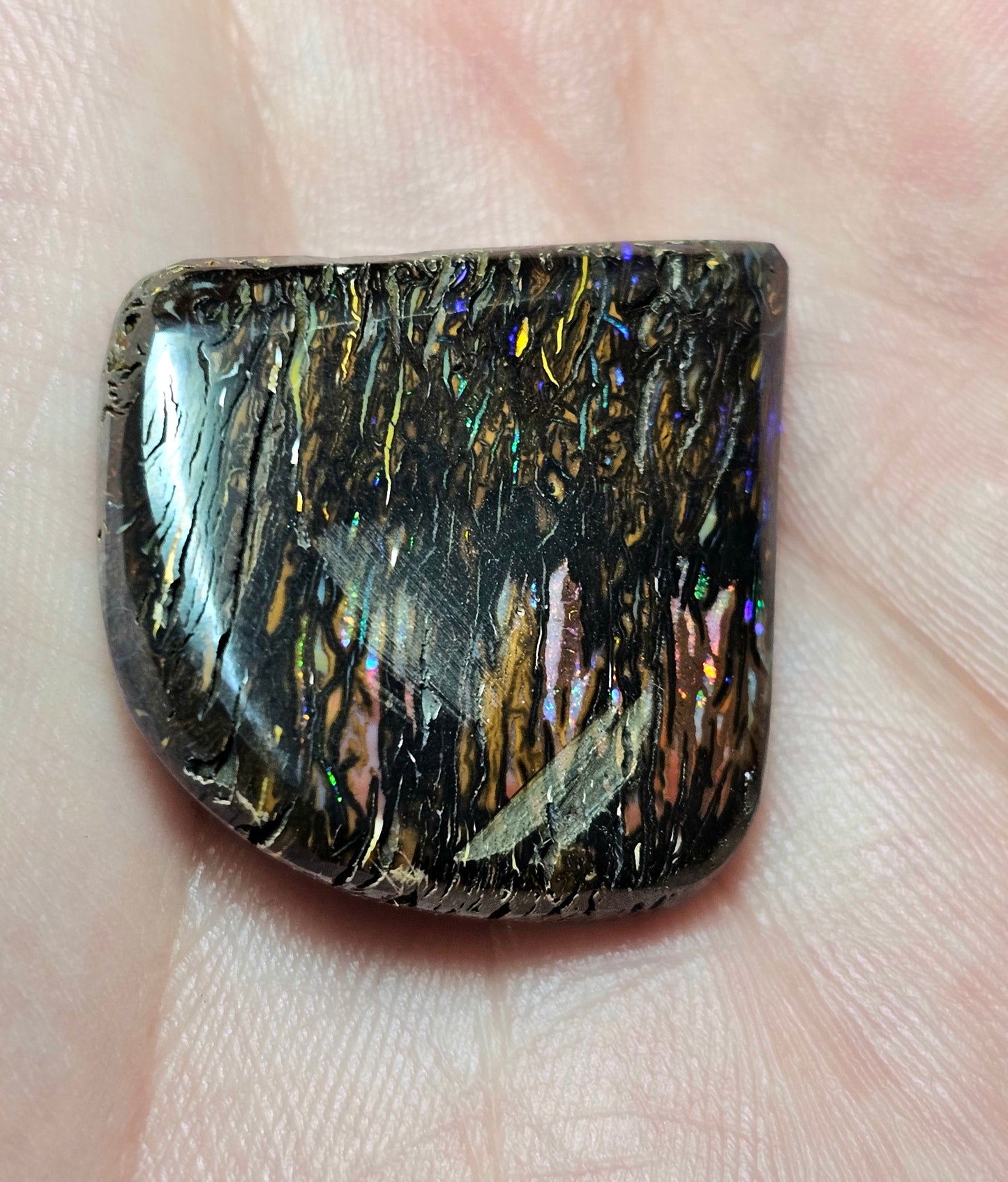 56cts Koroit Nut Boulder Opal with a Spectacular Pattern!!(JSMD21)