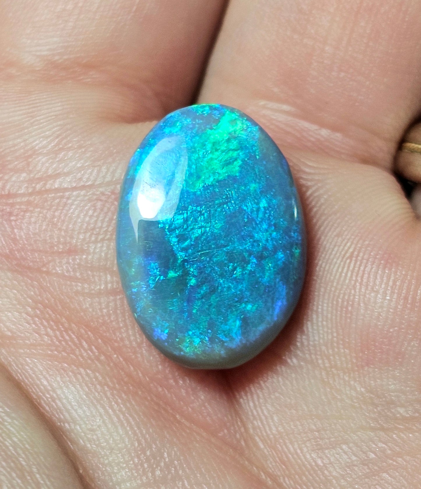 Big Black Opal!! Investment Stone! (FB63)