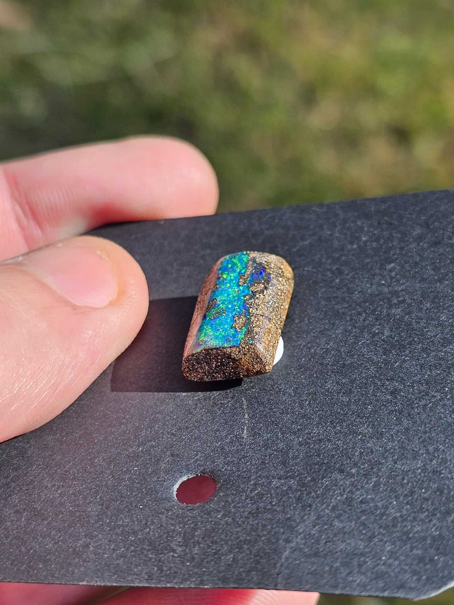 Queensland Boulder Pipe Opal(J29)