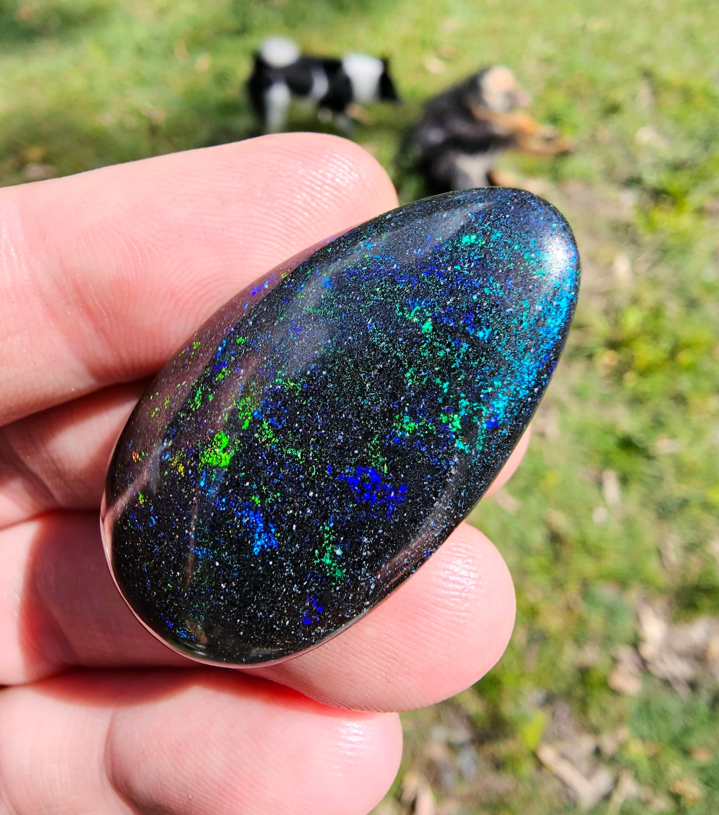 Quality Australian Fairy Opal - Brilliant Green with a Blue Undertone - 49cts!