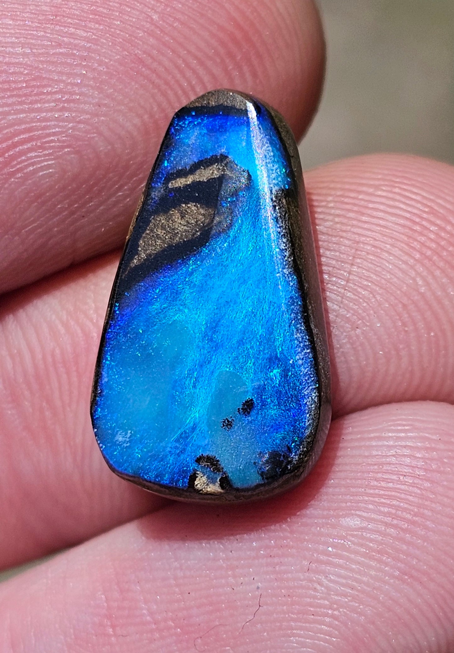 Beautiful Blue Crystal Boulder Opal from Queensland, Australia! 10cts