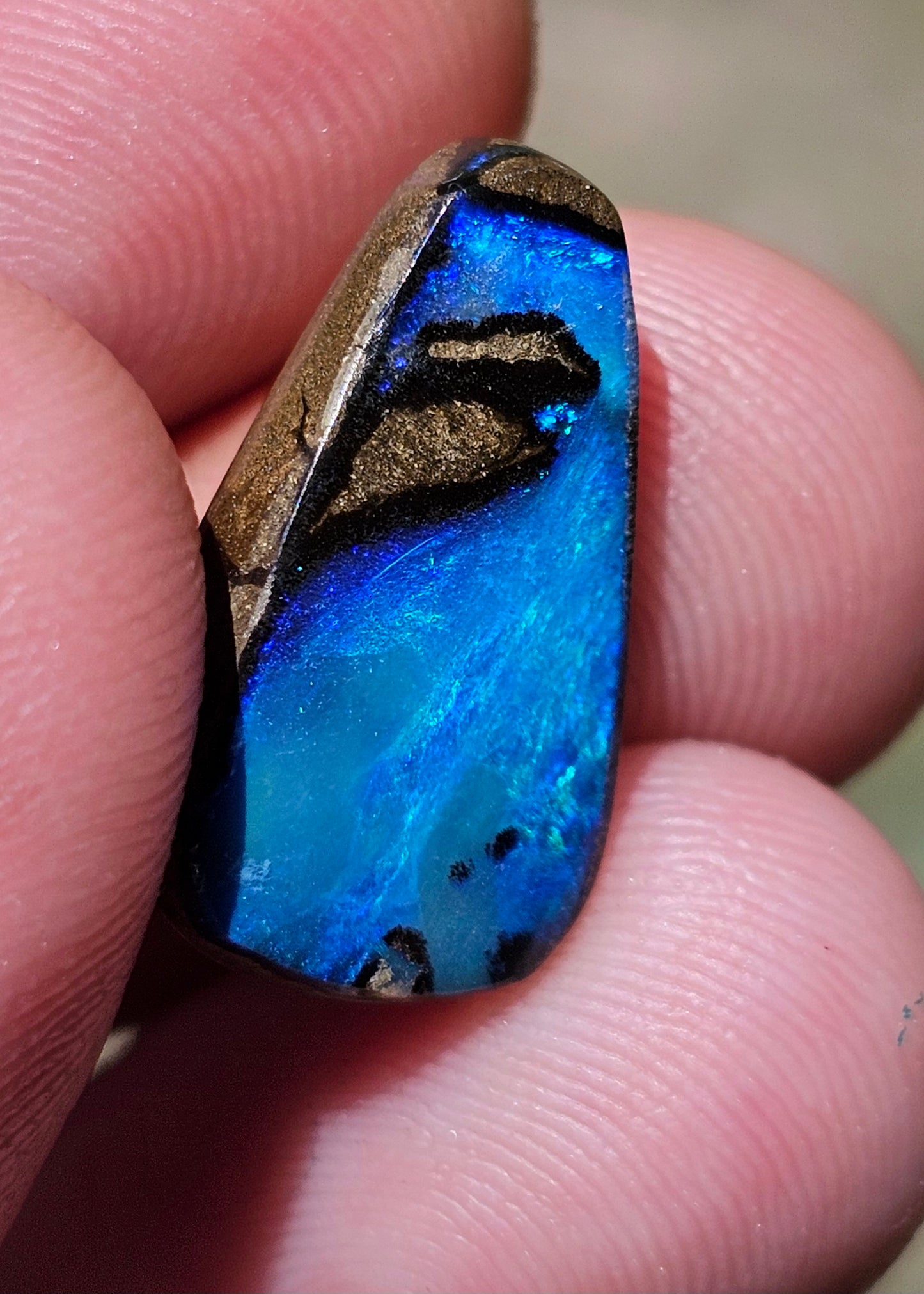 Beautiful Blue Crystal Boulder Opal from Queensland, Australia! 10cts