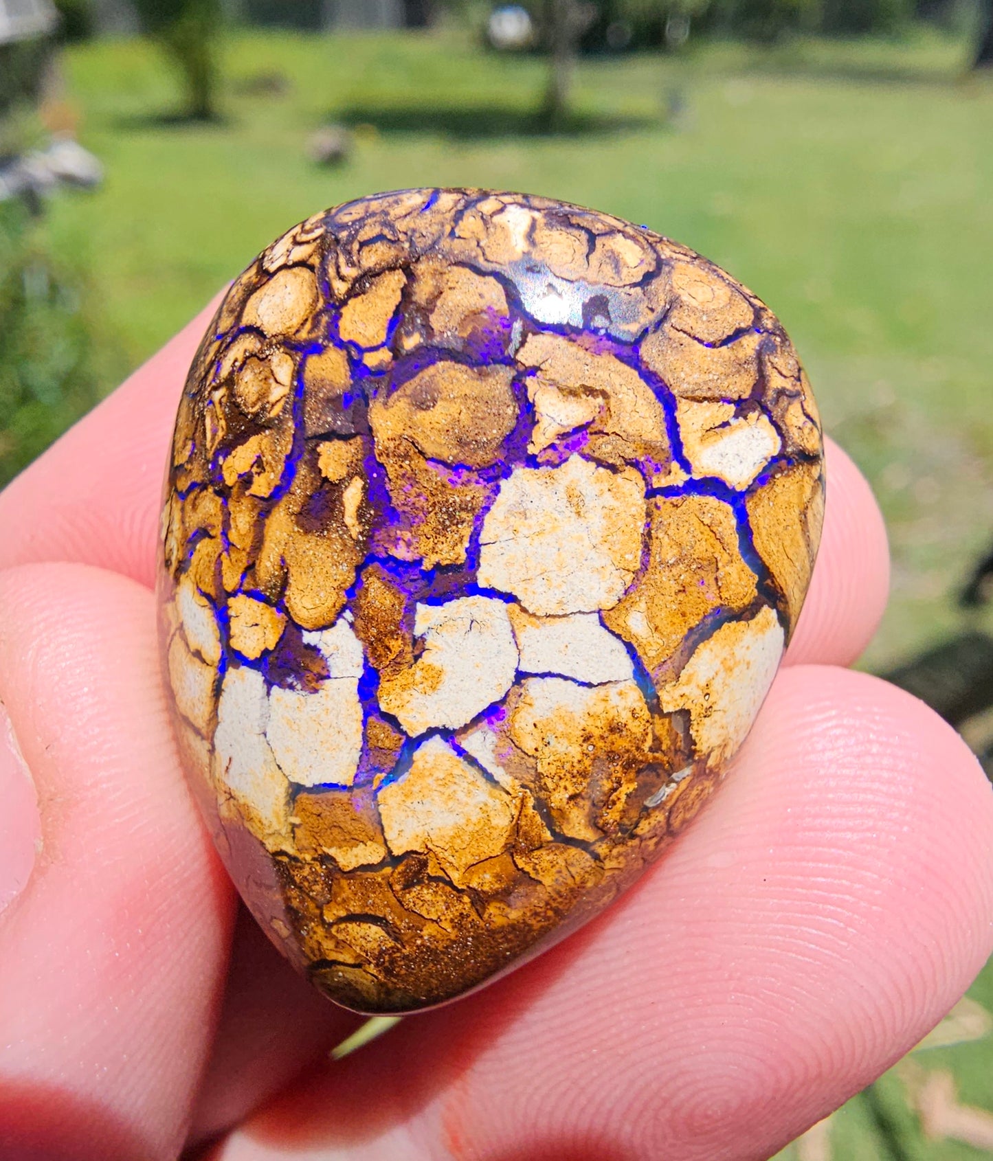 Yowah Nut Boulder Opal - 63cts