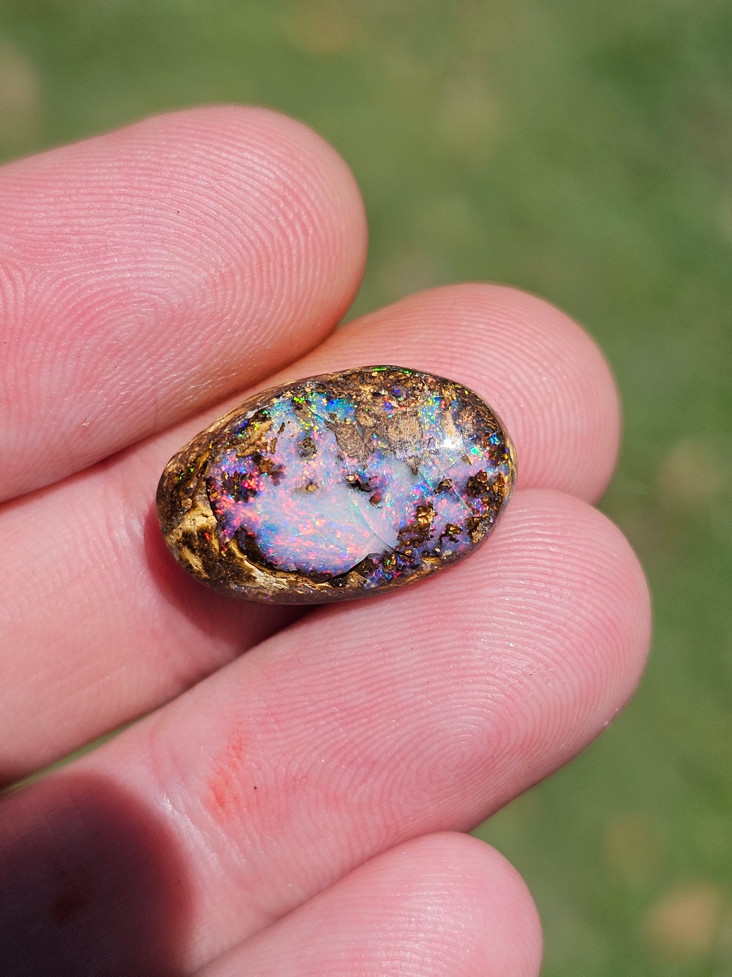 Unique Boulder Opal Full of Colour!