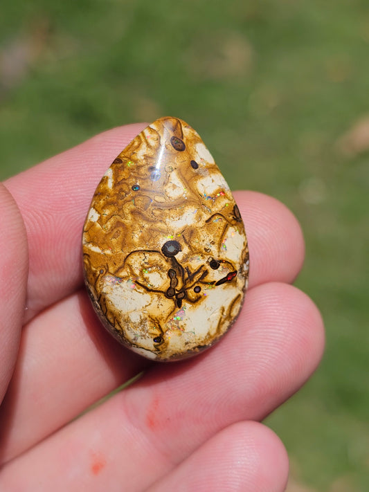 Unique Pattern Boulder Opal! 36cts