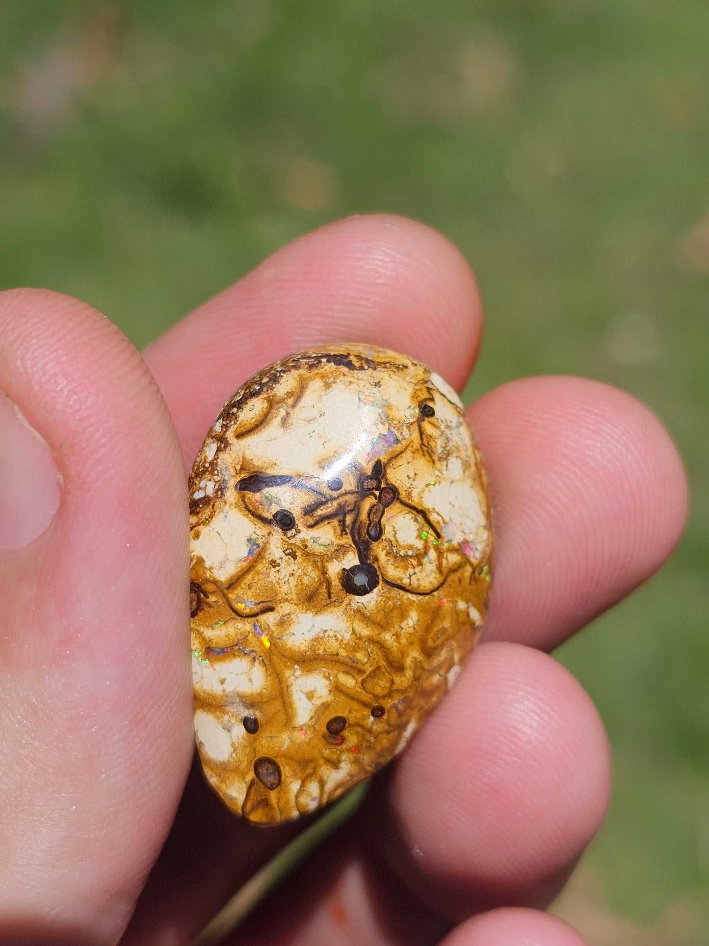 Unique Pattern Boulder Opal! 36cts