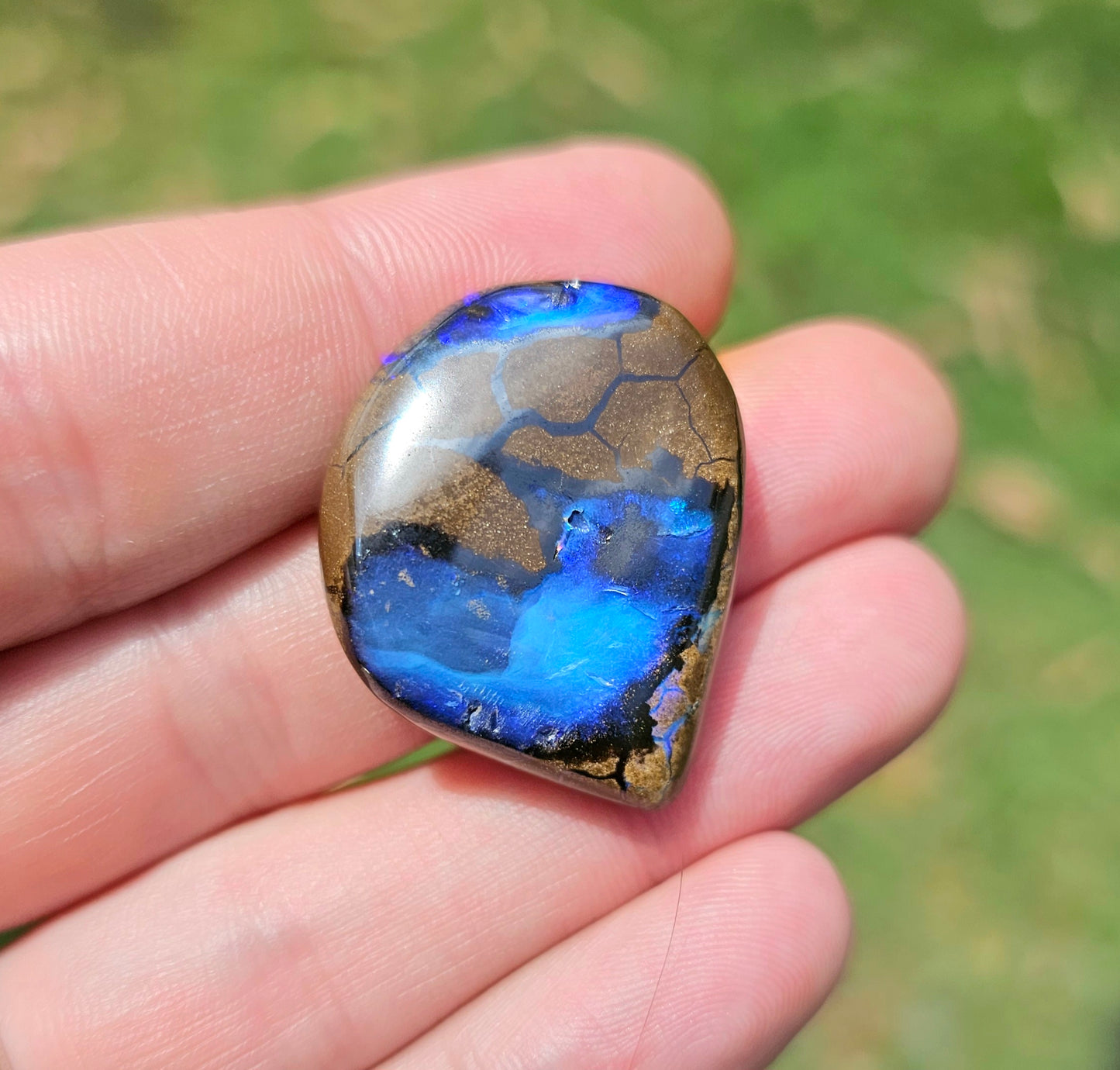 'Ocean View' Boulder Opal 55.55cts!