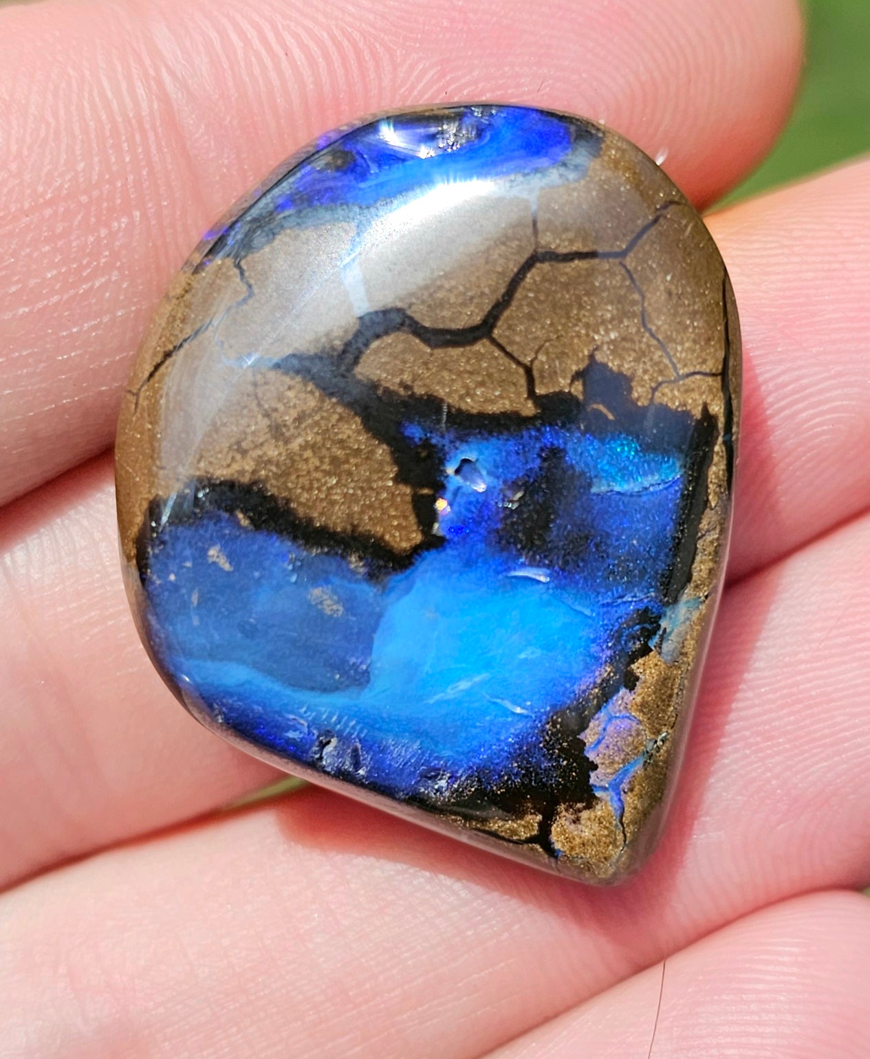 'Ocean View' Boulder Opal 55.55cts!