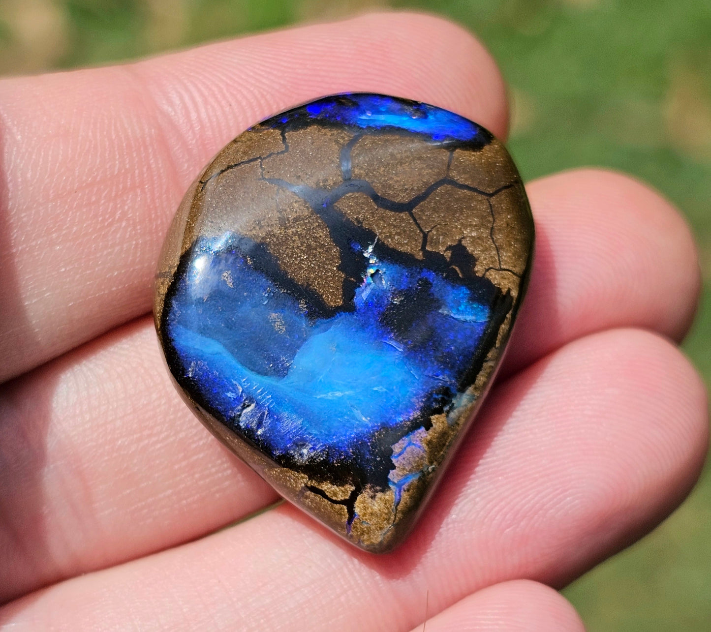 'Ocean View' Boulder Opal 55.55cts!