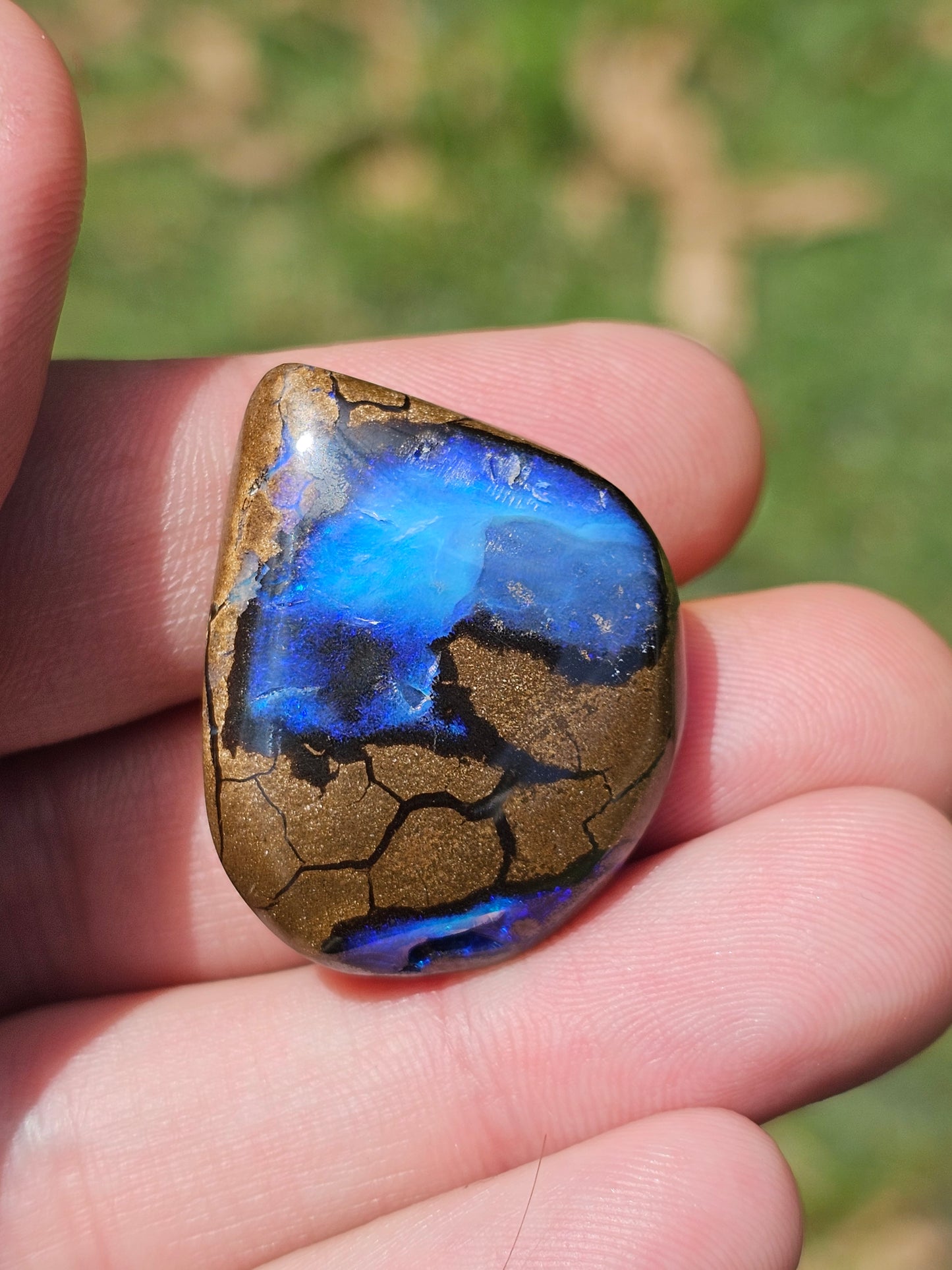 'Ocean View' Boulder Opal 55.55cts!