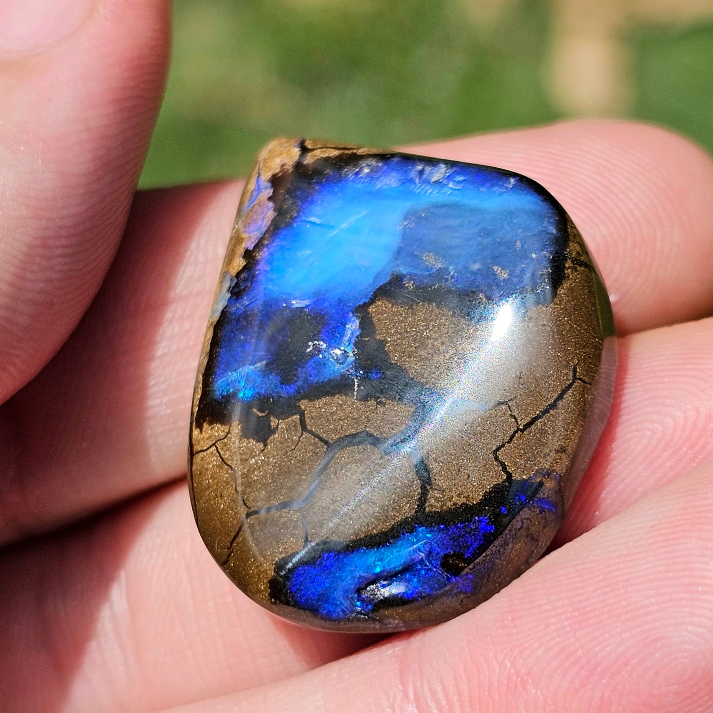 'Ocean View' Boulder Opal 55.55cts!