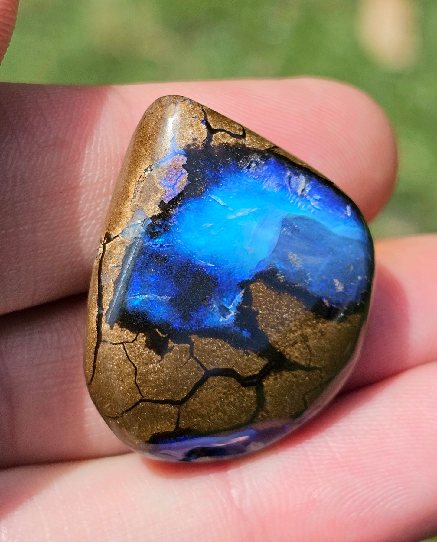 'Ocean View' Boulder Opal 55.55cts!