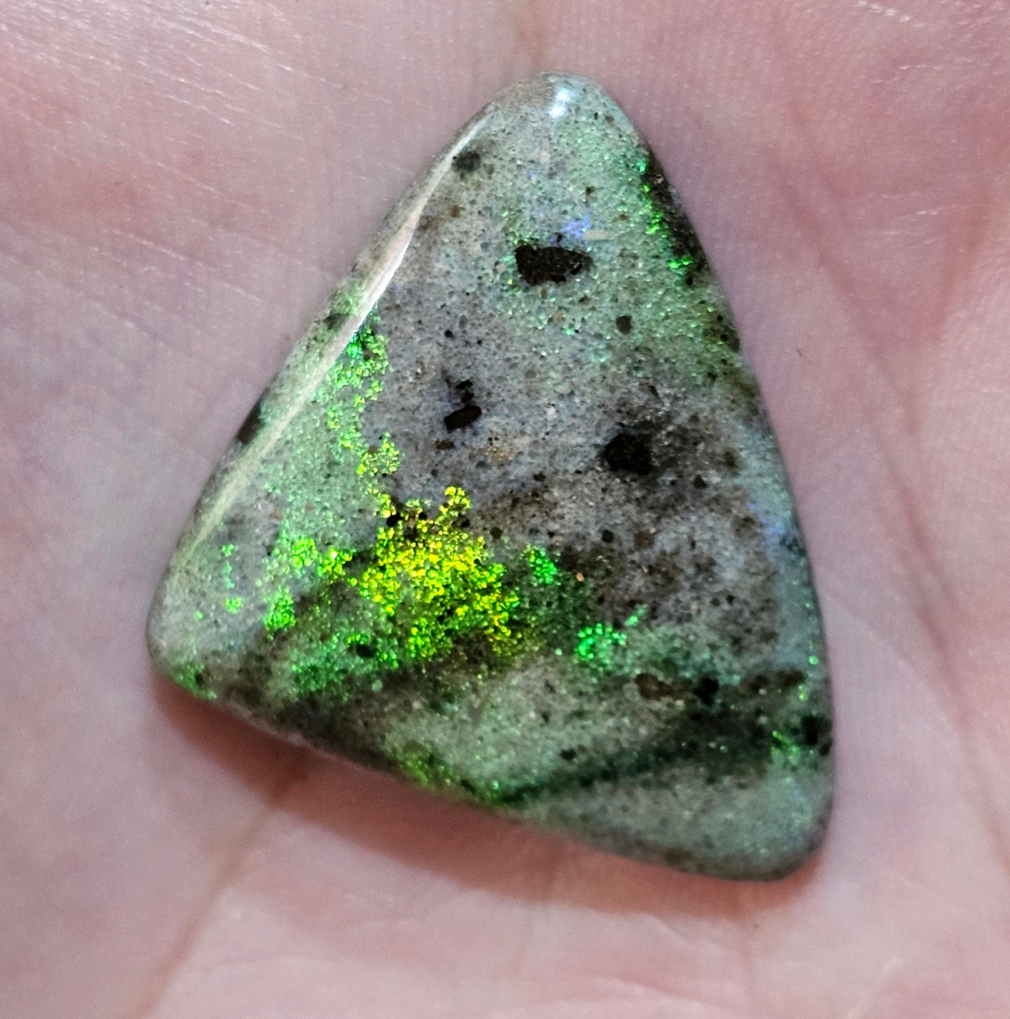 Spectacular Quality Andamooka Matrix Opal 31cts (f18)