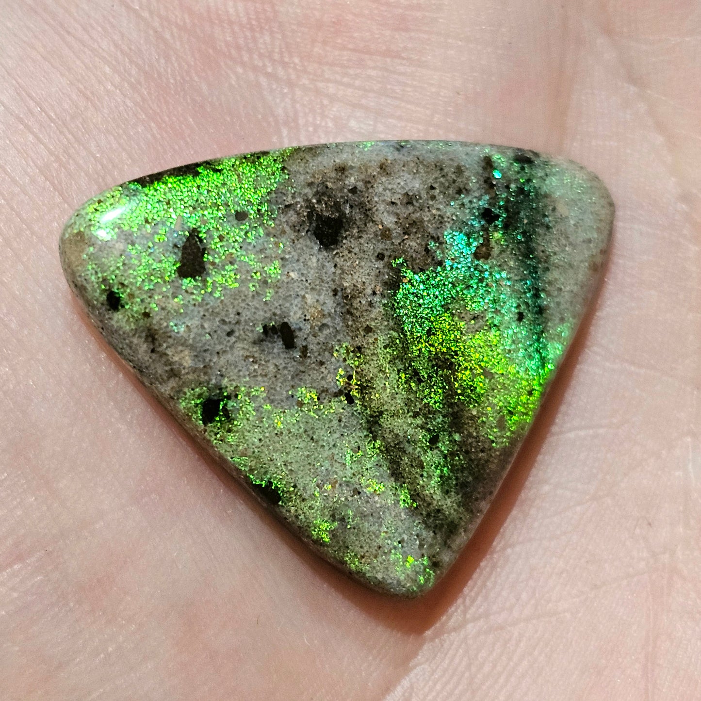 Spectacular Quality Andamooka Matrix Opal 31cts (f18)