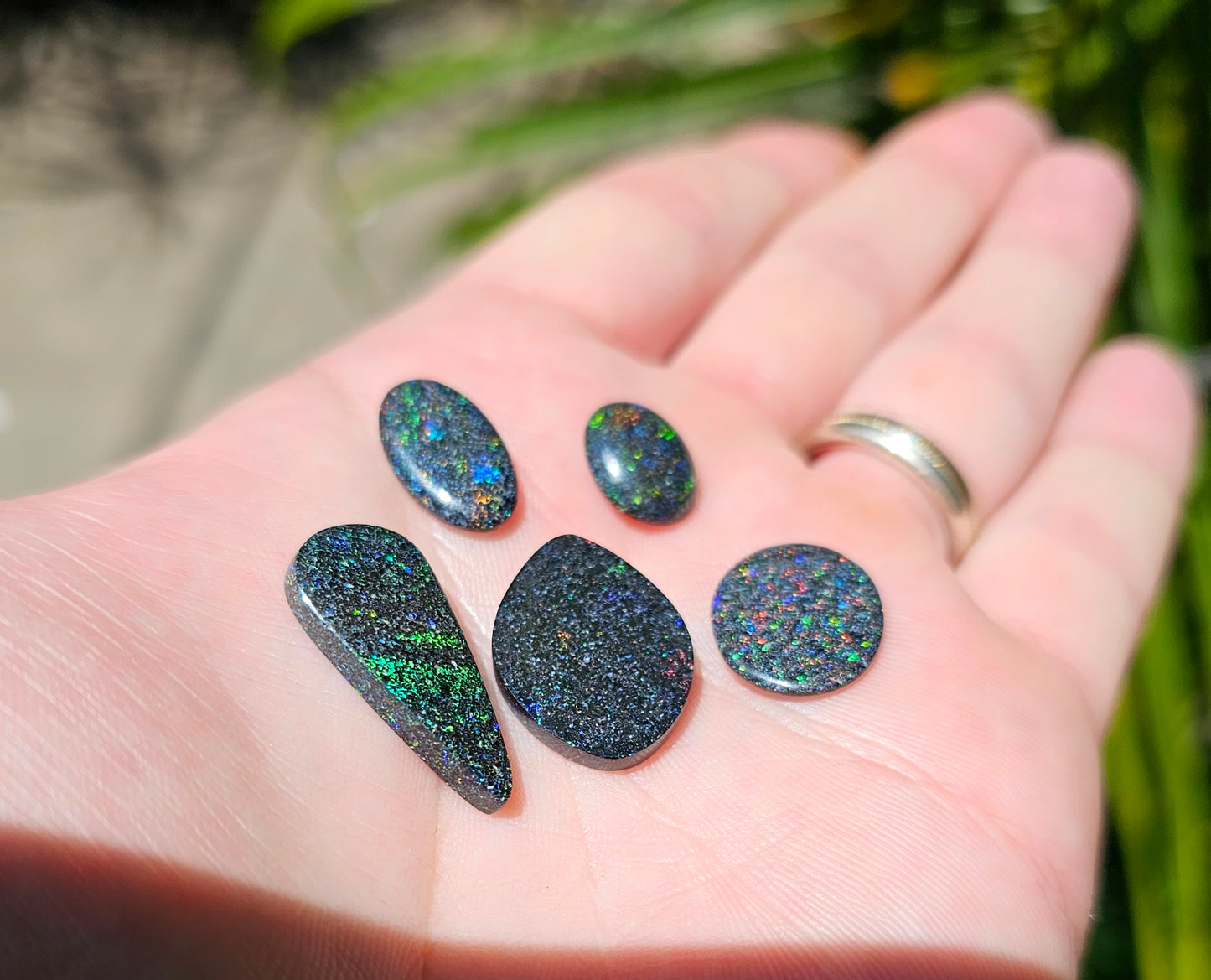 5 x Quality Fairy Boulder Opal 20cts (QF5)