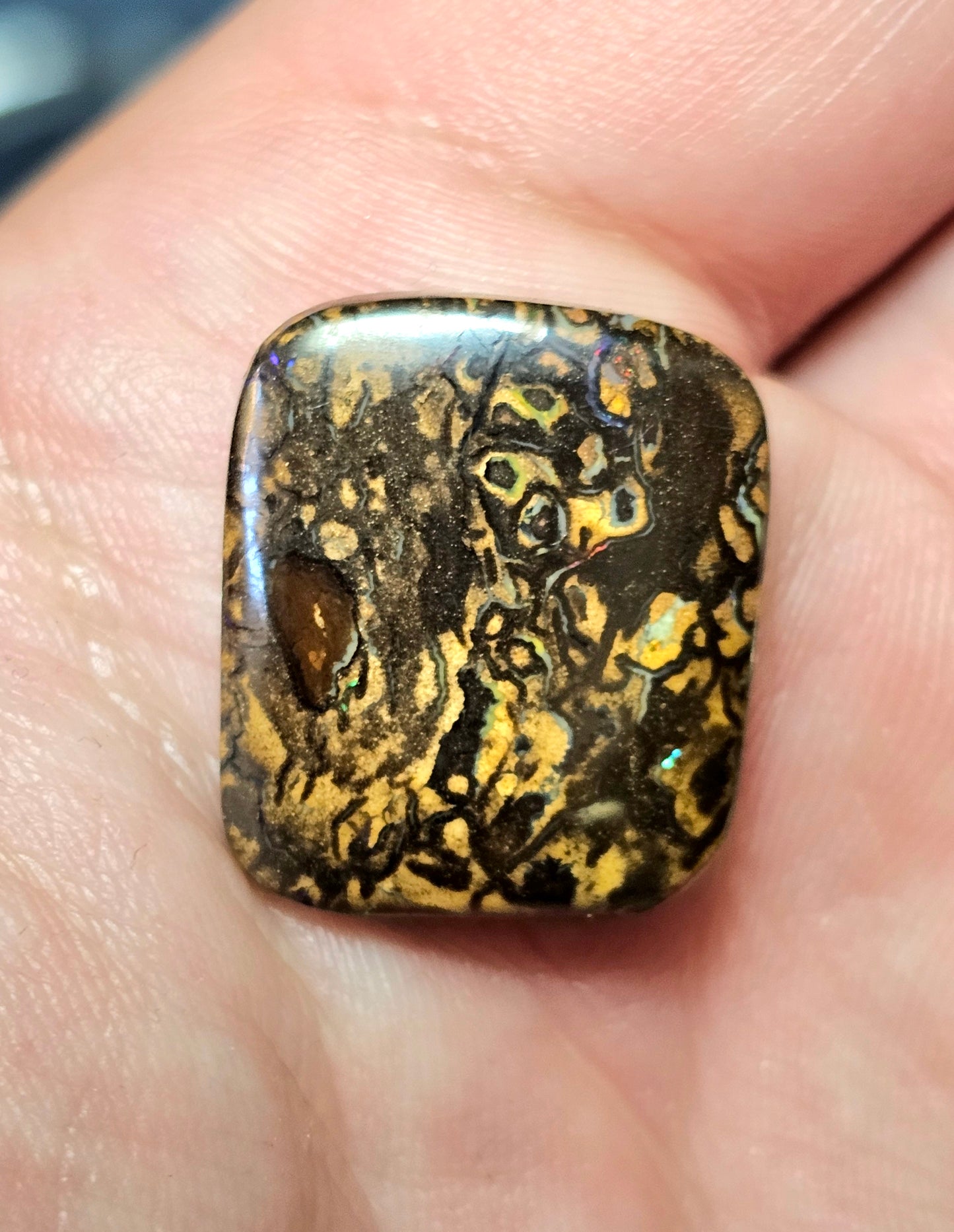 Double Sided Boulder Opal! (JSM35)