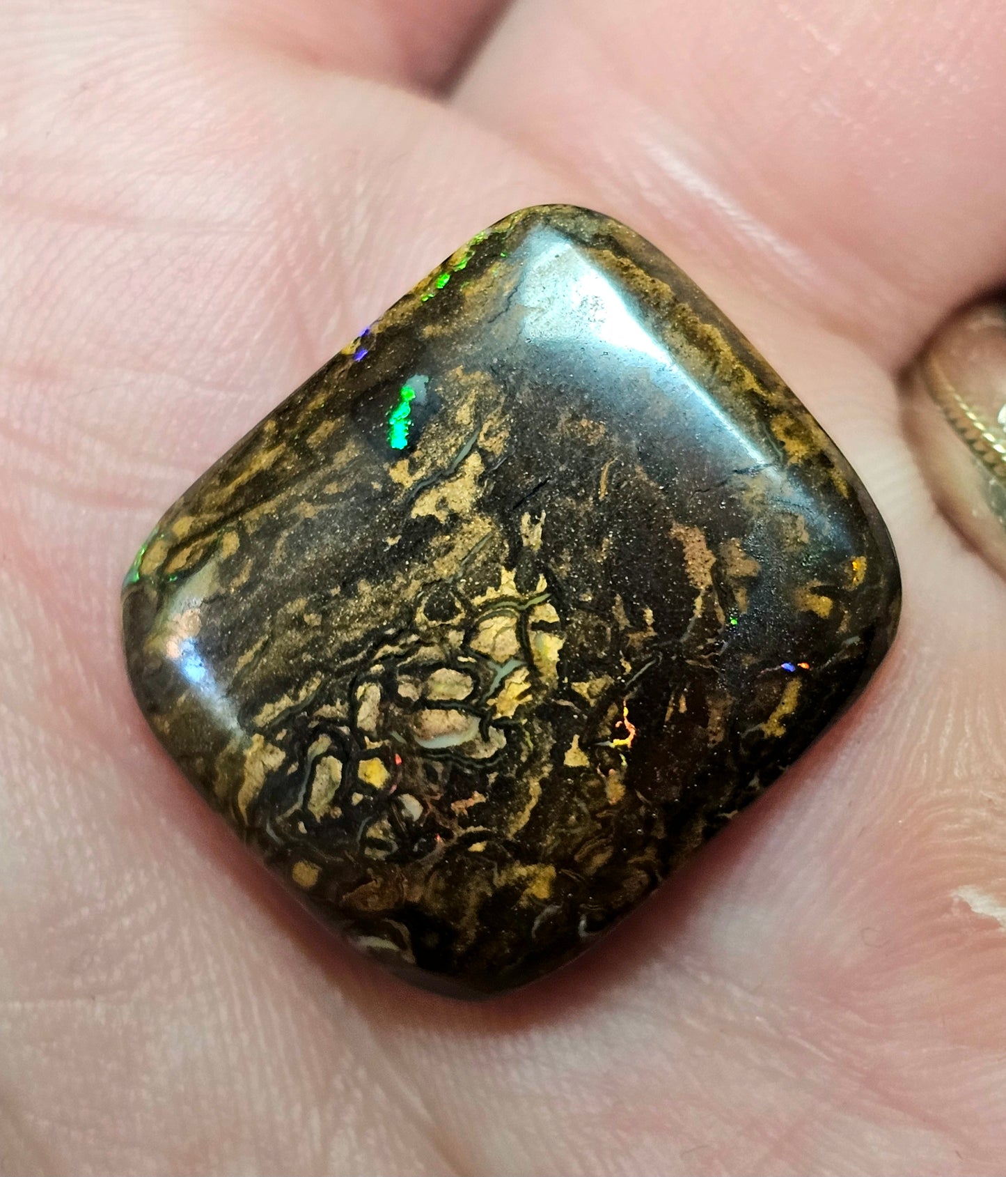 Double Sided Boulder Opal! (JSM35)