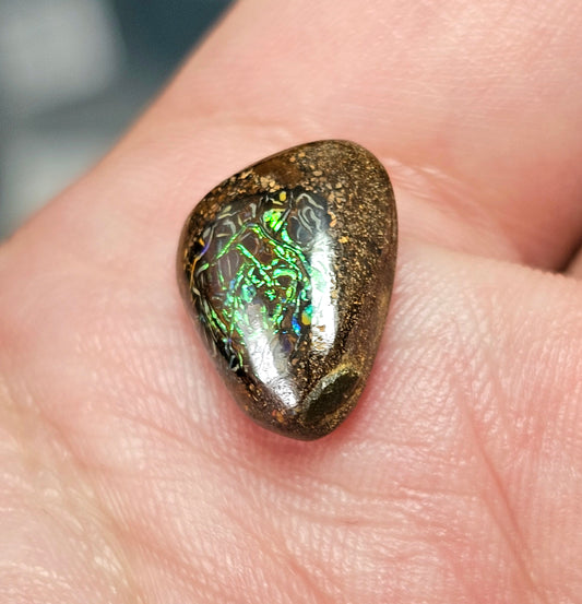 5.90cts Green Boulder Opal (WNB07)