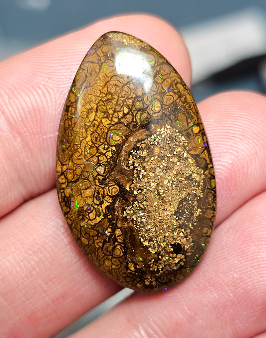33cts Pinfire Boulder Opal (WNB06)