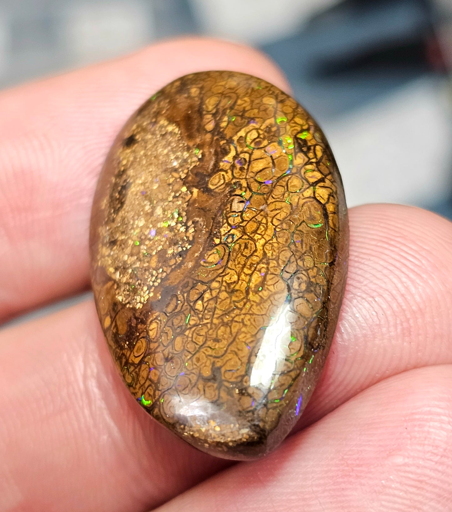33cts Pinfire Boulder Opal (WNB06)