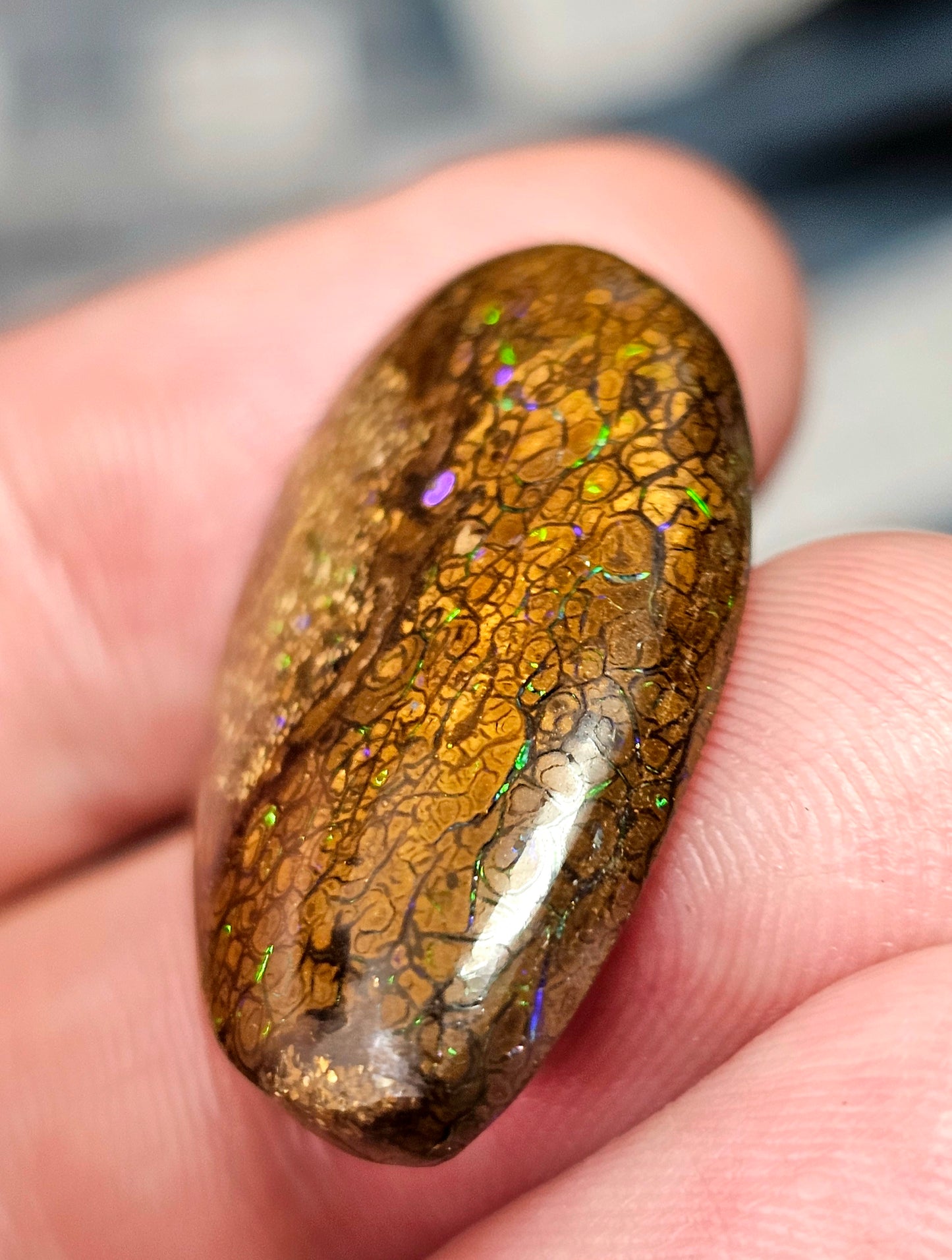 33cts Pinfire Boulder Opal (WNB06)