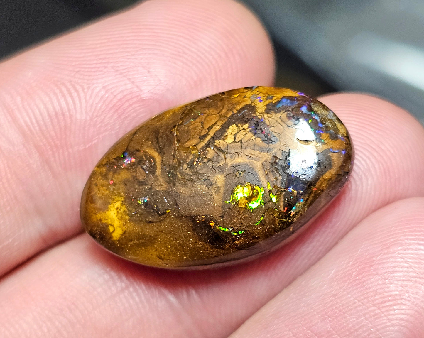 23cts Pretty Boulder Opal (Christmas Sale) (WNB09)