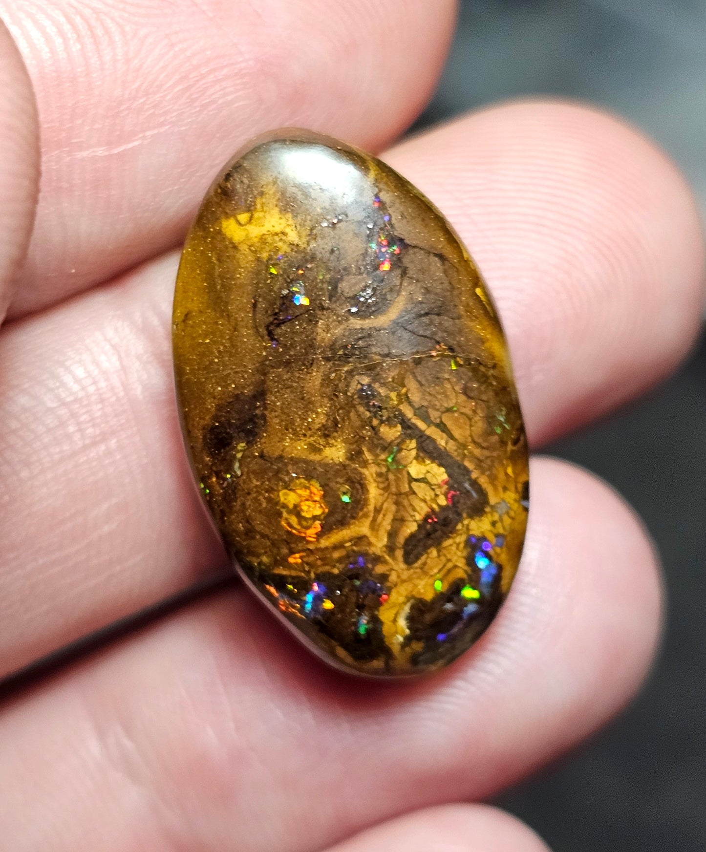 23cts Pretty Boulder Opal (Christmas Sale) (WNB09)