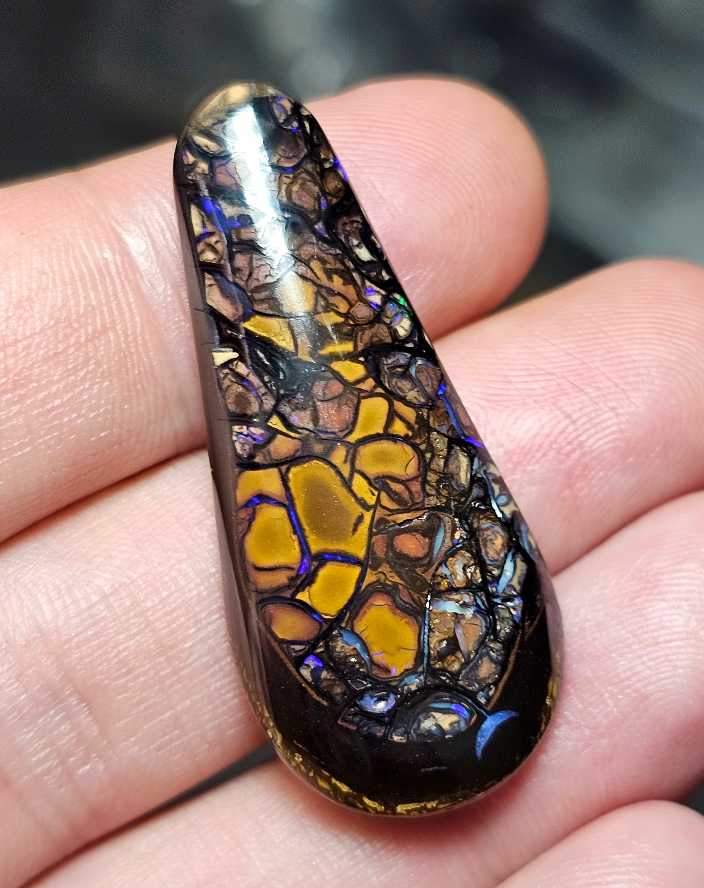 53cts Boulder Opal with a fantastic pattern (Christmas Sale) (WNB08)