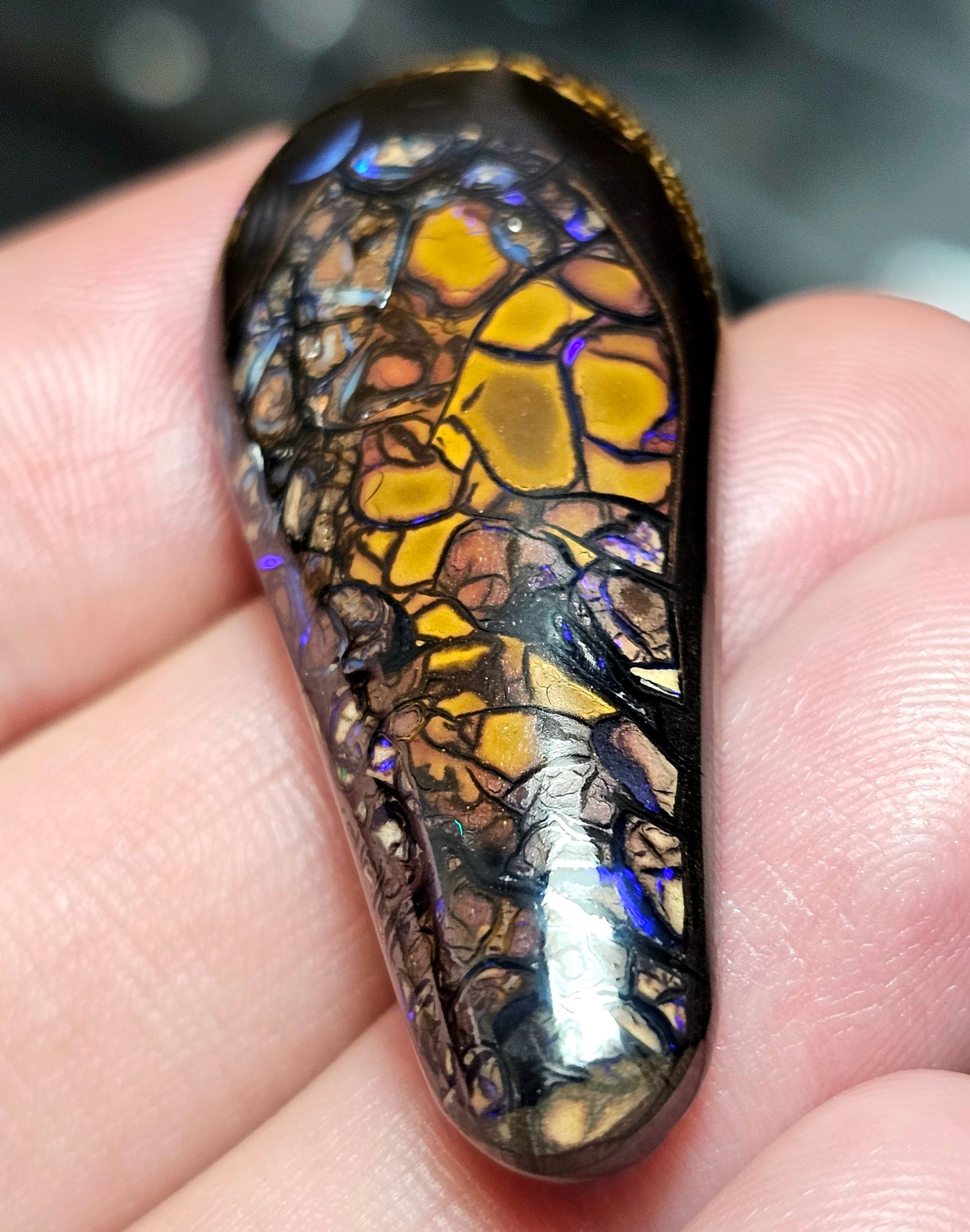 53cts Boulder Opal with a fantastic pattern (Christmas Sale) (WNB08)