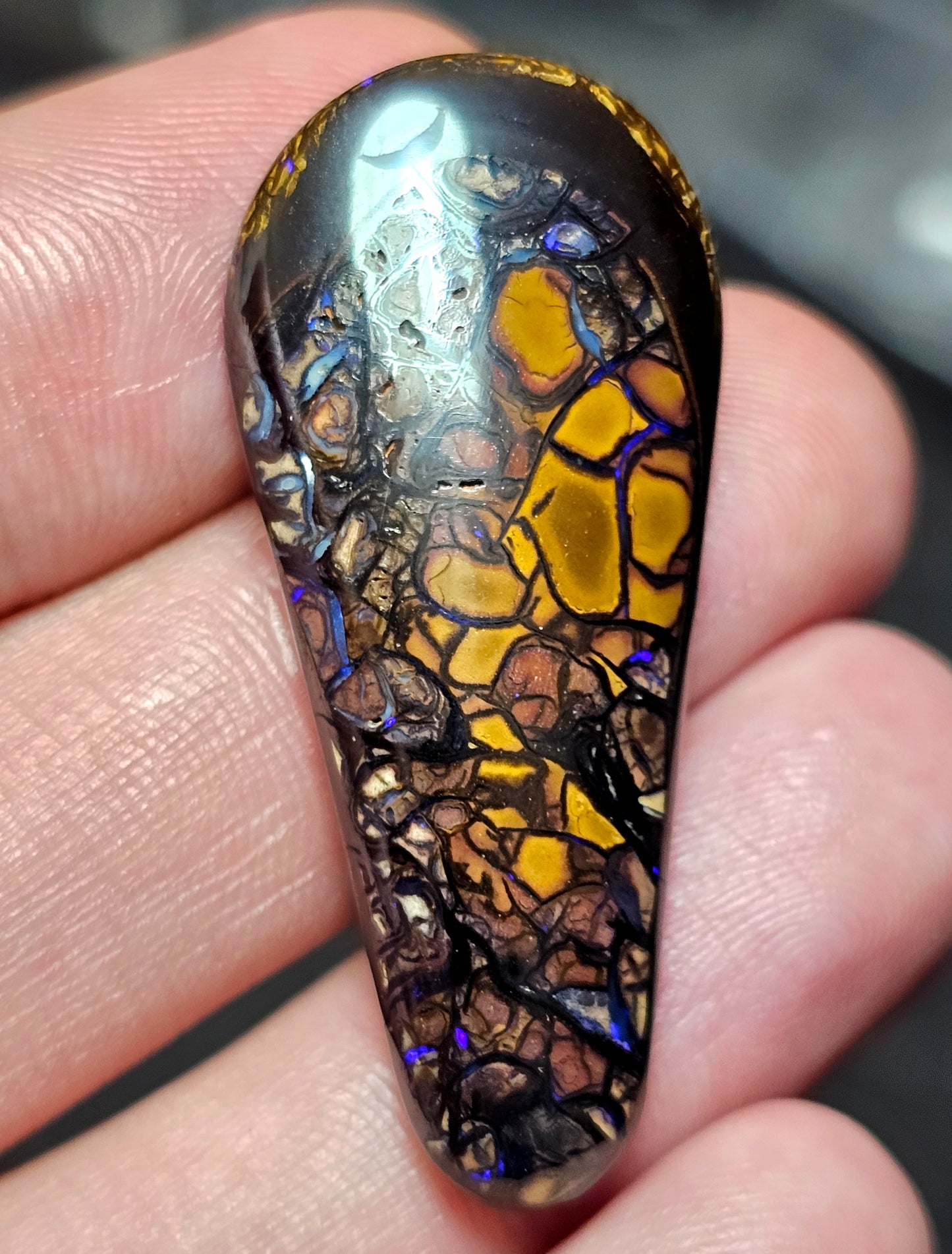 53cts Boulder Opal with a fantastic pattern (Christmas Sale) (WNB08)