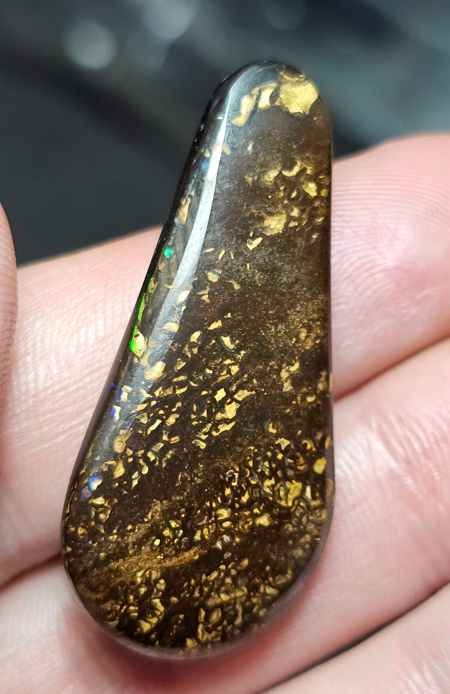 53cts Boulder Opal with a fantastic pattern (Christmas Sale) (WNB08)