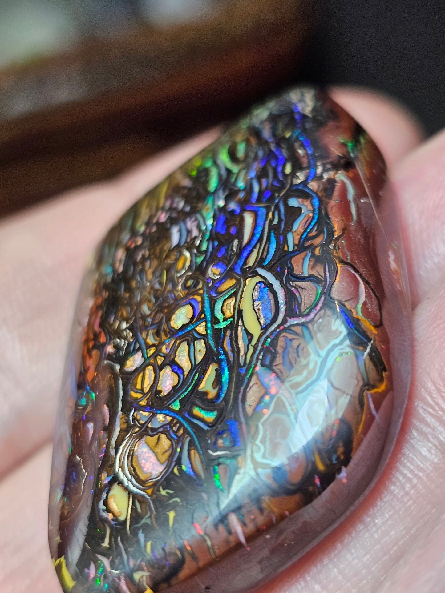 113cts Koroit Nut Boulder Opal with a Spectacular Pattern!!(JSMD9)