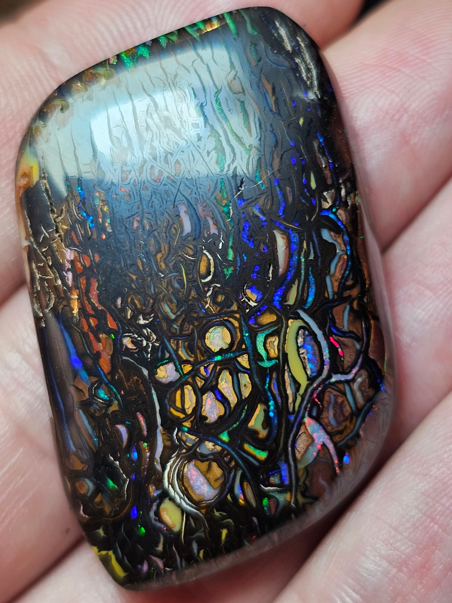 113cts Koroit Nut Boulder Opal with a Spectacular Pattern!!(JSMD9)