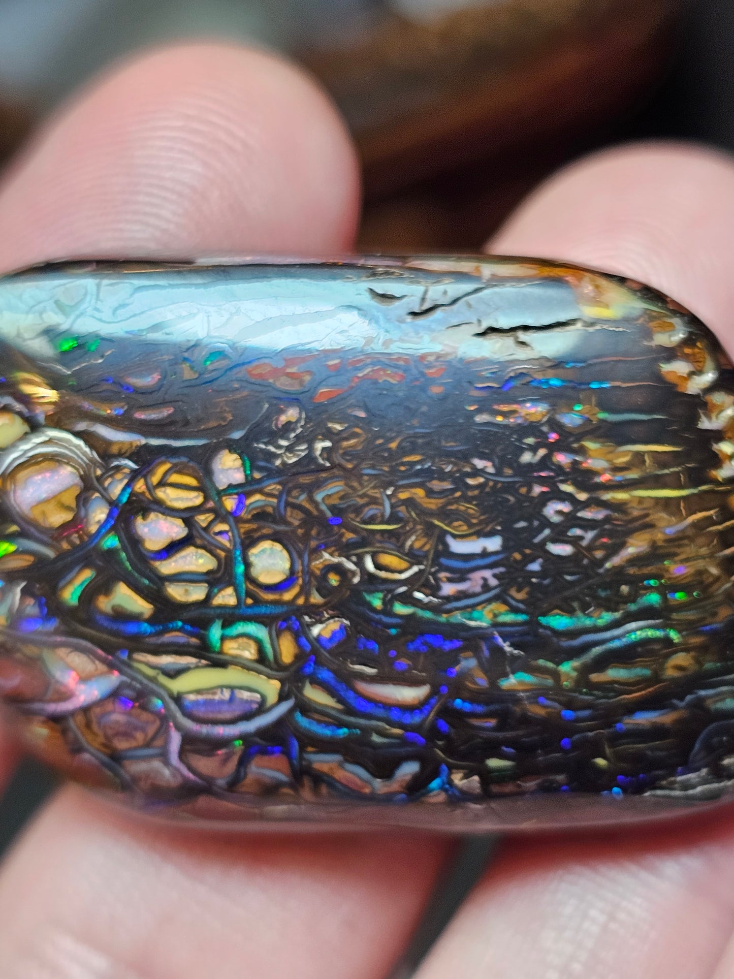 113cts Koroit Nut Boulder Opal with a Spectacular Pattern!!(JSMD9)