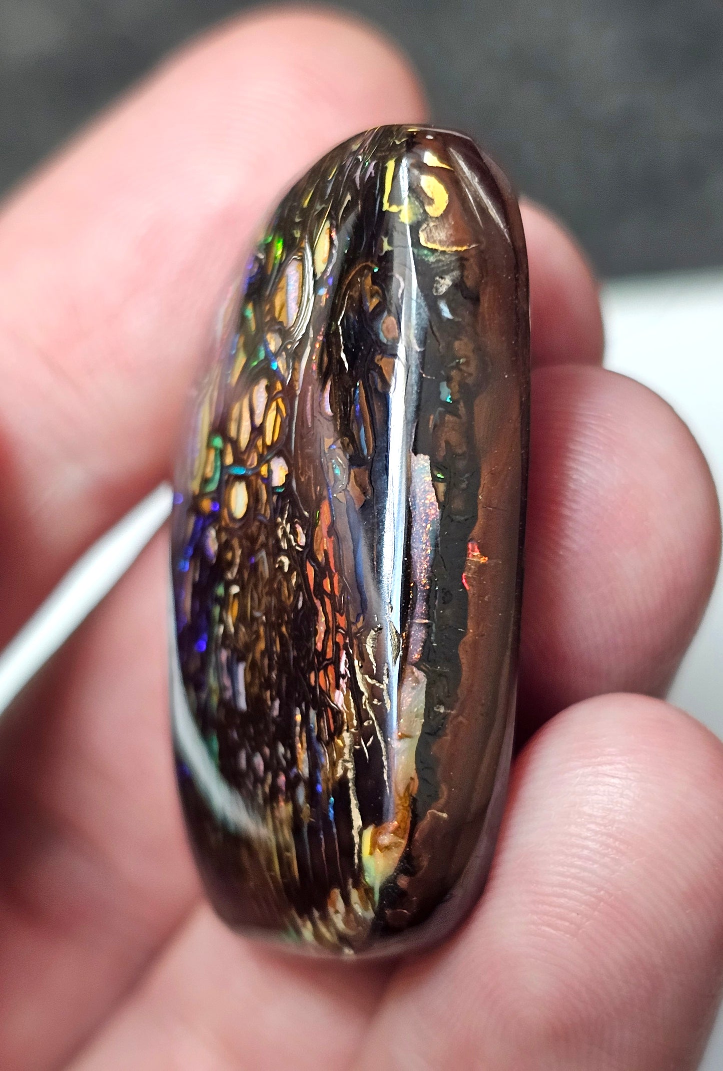 113cts Koroit Nut Boulder Opal with a Spectacular Pattern!!(JSMD9)