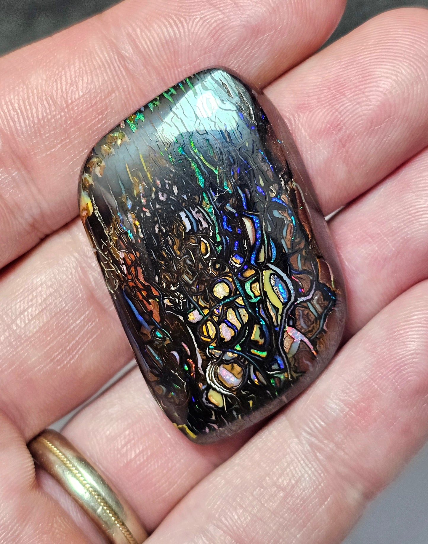 113cts Koroit Nut Boulder Opal with a Spectacular Pattern!!(JSMD9)