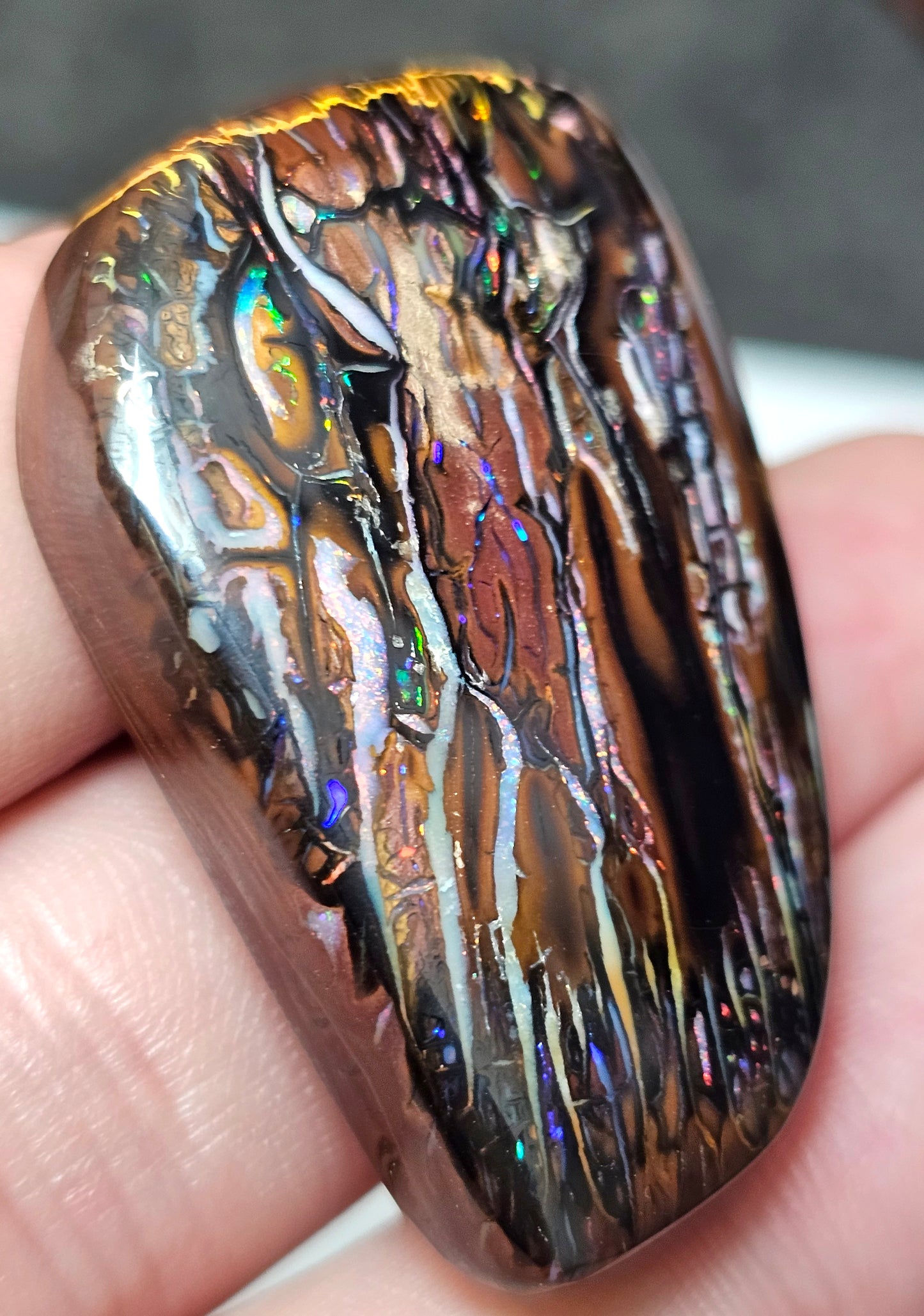 101cts Koroit Nut Boulder Opal with a Spectacular Pattern!!(JSMD10)