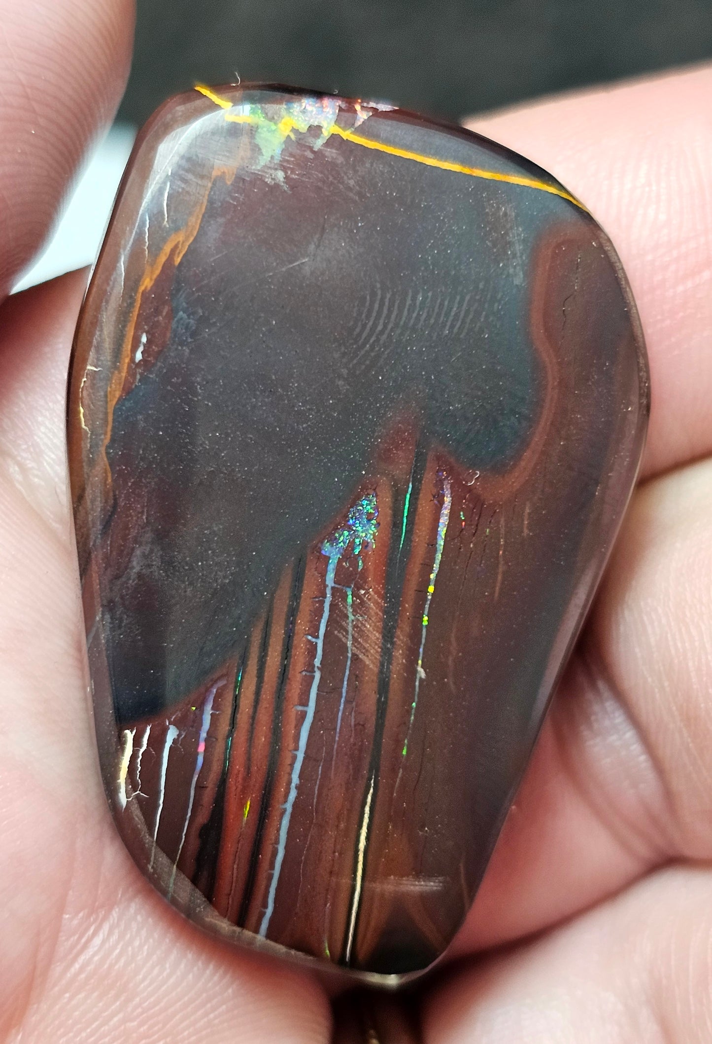 101cts Koroit Nut Boulder Opal with a Spectacular Pattern!!(JSMD10)