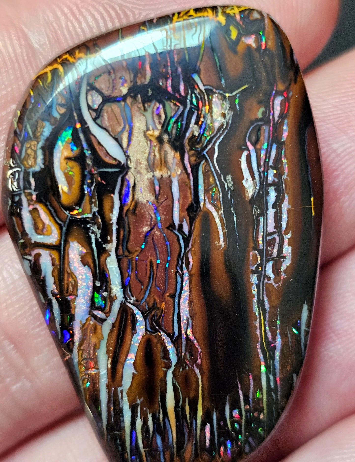 101cts Koroit Nut Boulder Opal with a Spectacular Pattern!!(JSMD10)