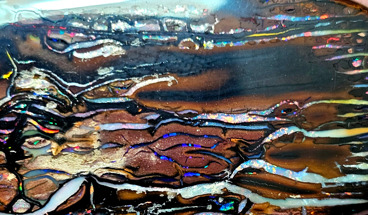 101cts Koroit Nut Boulder Opal with a Spectacular Pattern!!(JSMD10)