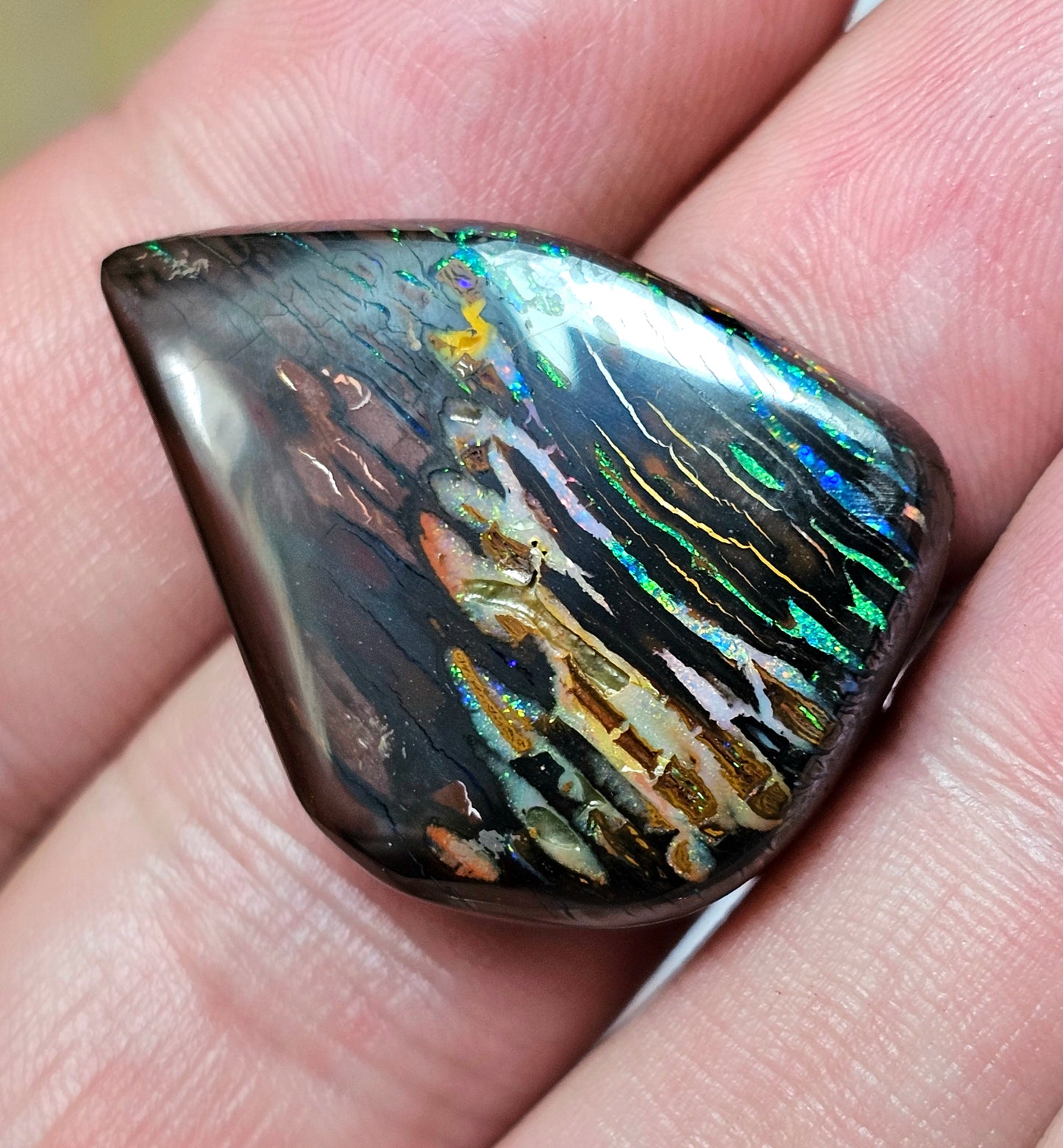 45cts Koroit Nut Boulder Opal with a Spectacular Pattern!!(JSMD11)