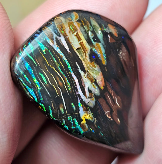 45cts Koroit Nut Boulder Opal with a Spectacular Pattern!!(JSMD11)