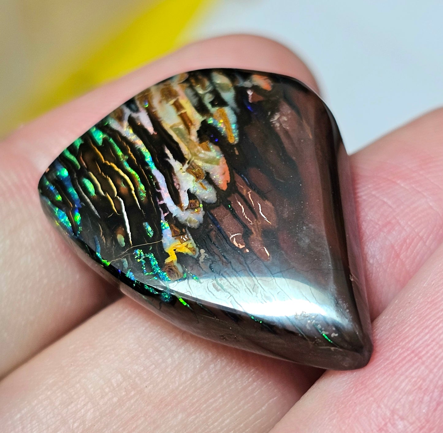 45cts Koroit Nut Boulder Opal with a Spectacular Pattern!!(JSMD11)